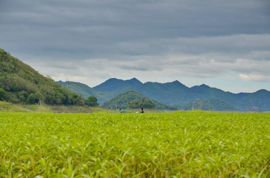 หุบแม่คะเมย...มีมหกรรมเรือ..ทั้งเรือชาวบ้านทั้งเรือเร็วเต็มไปหมด ...ผมนึกว่ามีแข่งตกปลา:ohh: :ohh: :