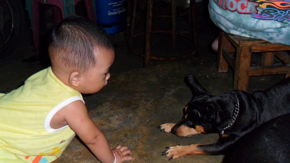 

    อีนางตัวดำลูกป้าแอ้คงอิจฉาคร้าบบ....

                                               ''แ