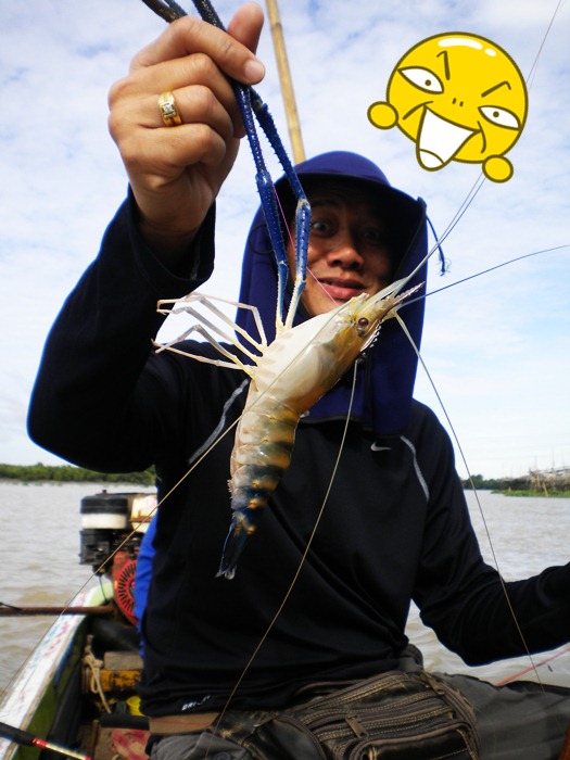 Shrimp fishing in Bangprakong River.