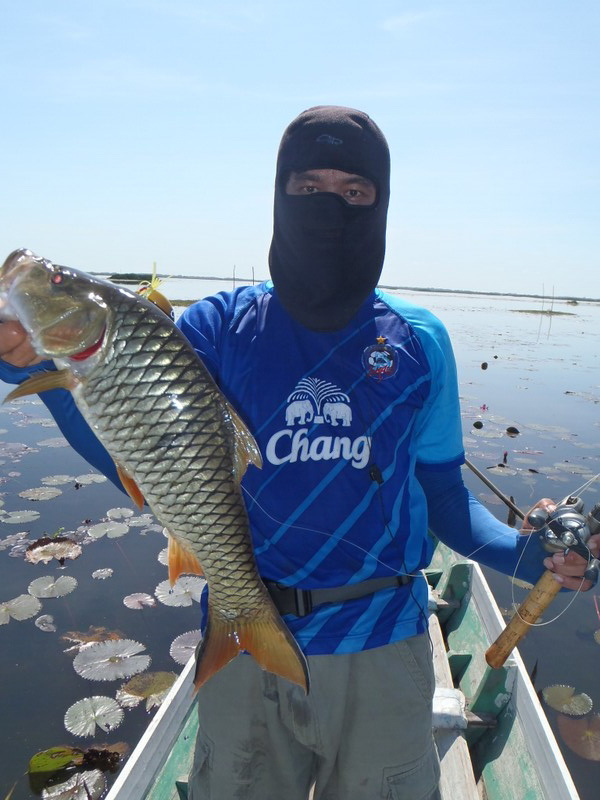 [q][i]อ้างถึง: ไกรวิชญ์อาร์ม posted: 18-07-2555, 00:17:07[/i]

น้าสาม ขอปลามาย่างก่อนสักตัวได้มั้ย