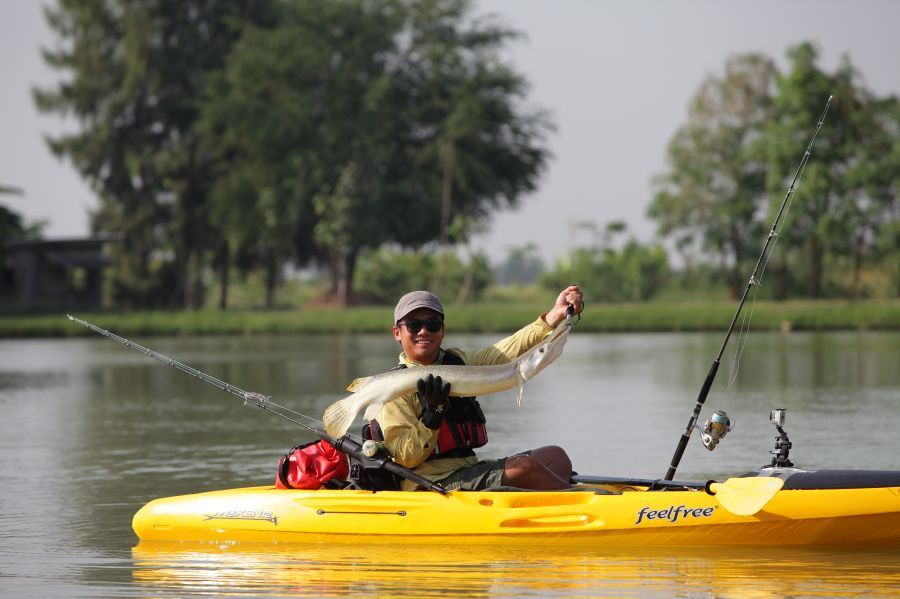 Aligator Gar