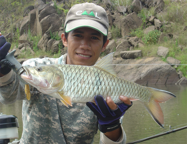 [q][i]อ้างถึง: FishingDaD posted: 18-07-2555, 17:49:03[/i]

......++++++1.... :ohh: :ohh: :ohh: :o