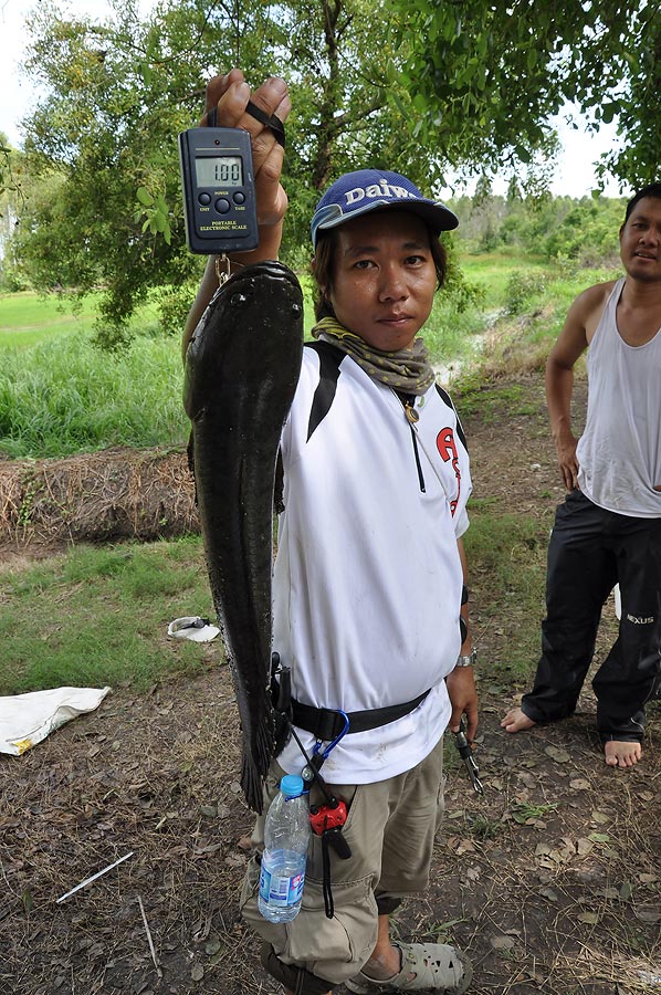 โลเปีะเลย ให้ขึ้นนำปลาไซด์ เพราะกติกาให้ปลาคนล่ะรางวัล โปรไข่ดาวยังนำปลาช่อนใหญ่อยุ่เหมอืนเดิม :grin