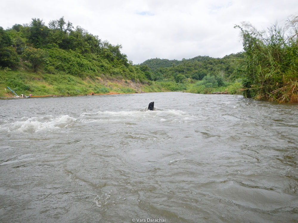[b][center]ถ้าใครได้นั่งหัวเรือ จะรู้ว่าลุ้นมาก...ตอไม้ โขดหิน...[/center][/b]
