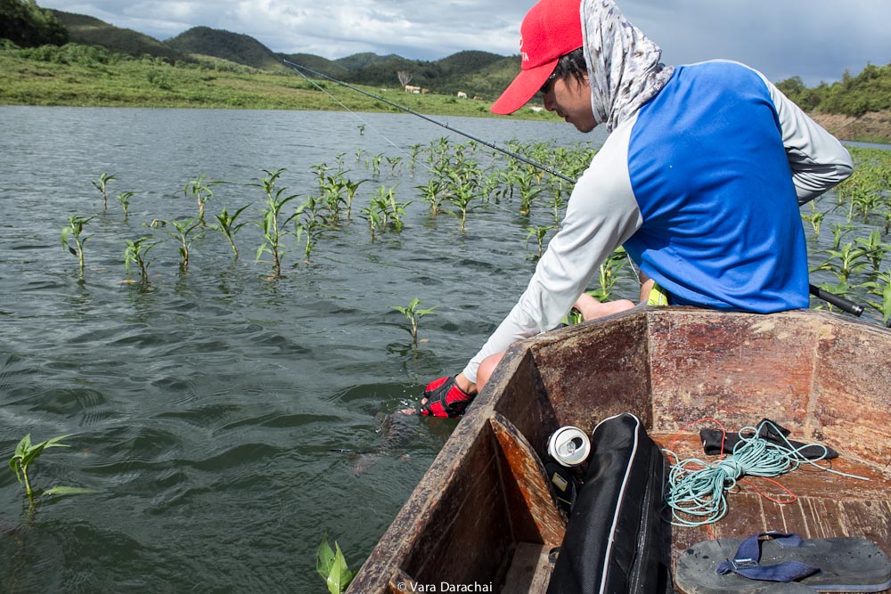 [b][center]Catch and Release ขอบคุณนะเจ้ากระสูบ[/center][/b]