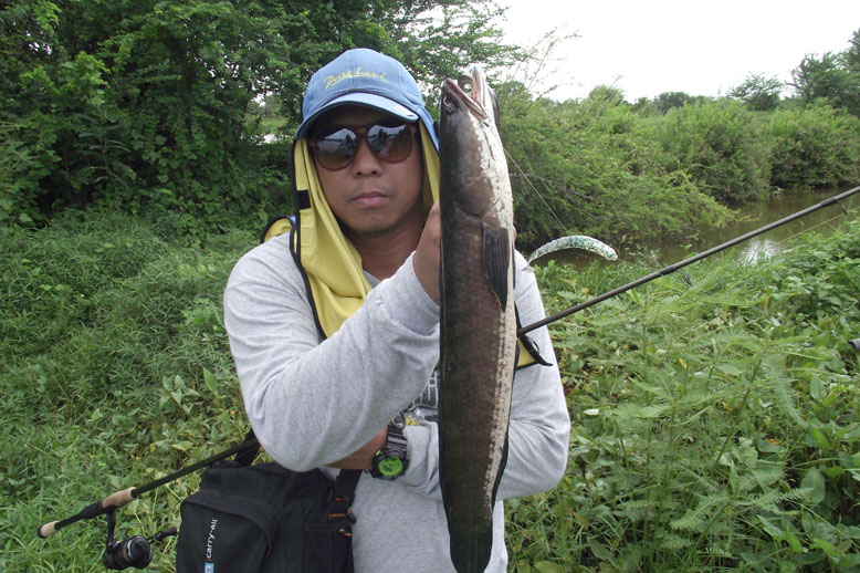 ตาโน๊ต...ตาอ้อ......ได้ข่าวแข่งกันแห้วหรึ...........................................................