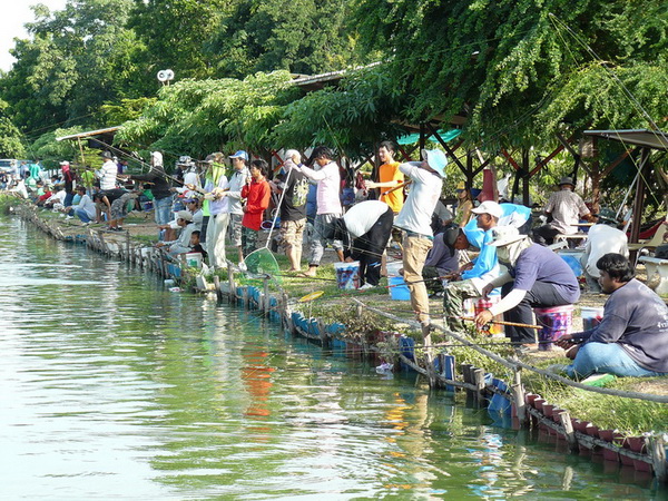 ท้ายบ่อมีอะไรดีนะน้าแน่นเลย :ohh: :ohh: :cool: :cool: :grin: :grin: