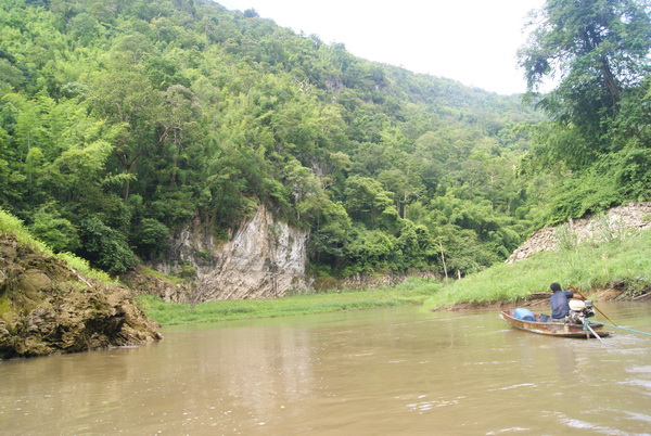 เรือลากไม่ไหวต้องใช้พายช่วยคัดครับ น้ำล่างใหลเชี่ยวมาก