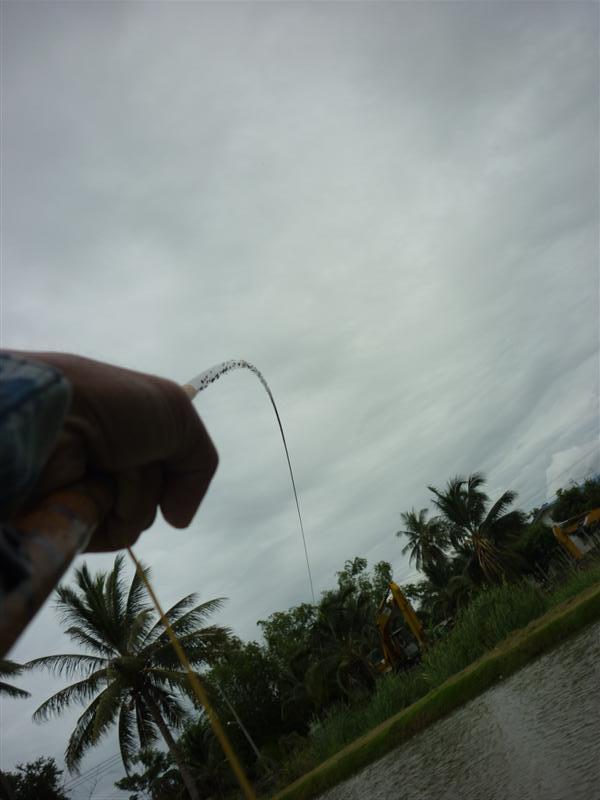 โอ๊ะ....โอ๊ะ......ถูกสวนครับ กระบี่ถูกสวนกดลงวูบ ผมเตรียมจะปล่อยมือด้วยซ้ำ