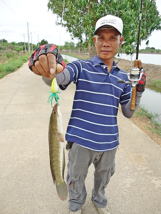 จัดไป..อีกซักรูป พี่ทุย  :grin:

 :cheer: :cheer: :cheer: :cheer: :cheer: