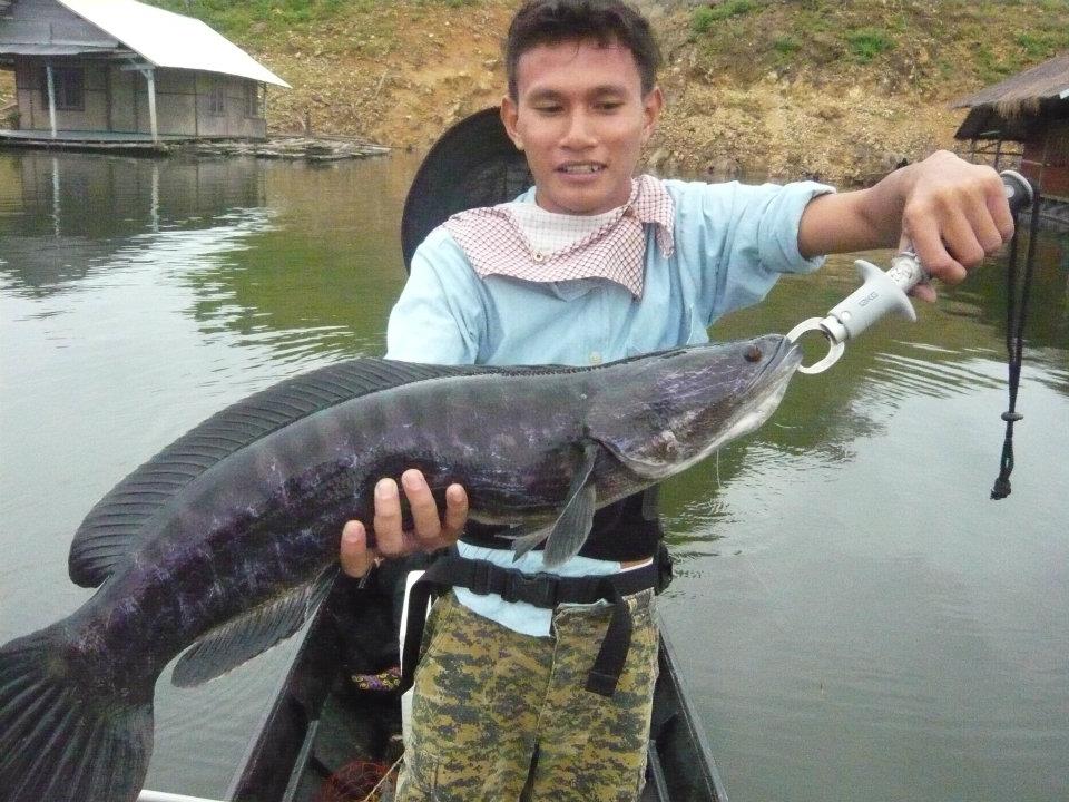 อีกรูปครับ