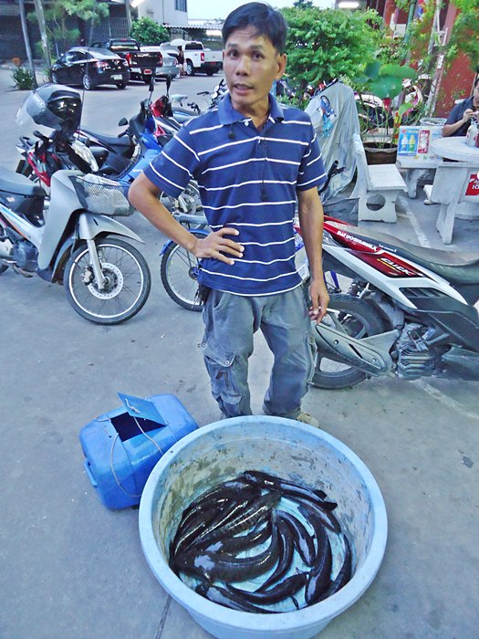 แกว่า..วันนี้ ตกปลา..เชิงอนุรักษ์ ไปหน่อยวันนี้  :laughing: :laughing: :laughing:

 :cheer: :cheer