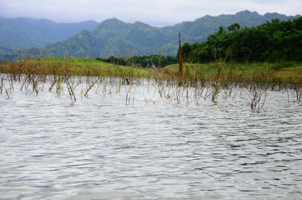 ฝนหยด แล้ว กัดอีกแล้ว :grin: :grin: :grin: :grin: :grin: