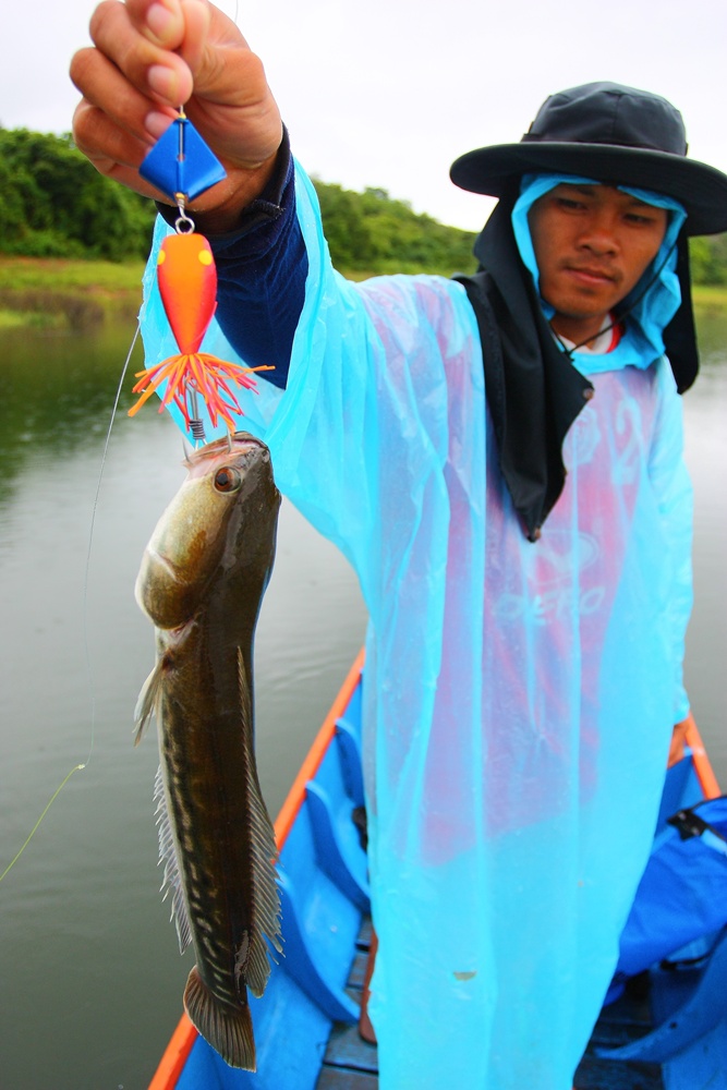  :smile:หวัดดีครับเสี่ยหลาย.... :smile: :smile: :grin:

------------------------------------------