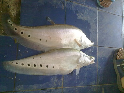 อีก1  คู่
