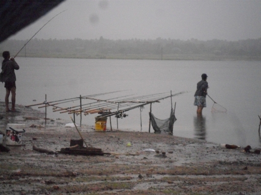 หลังจากฝนซาลงแล้ว..น้าเค้าก็ได้นิลใหญ่ขึ้นมาตัวนึงครับ :grin: :cheer: :cheer: