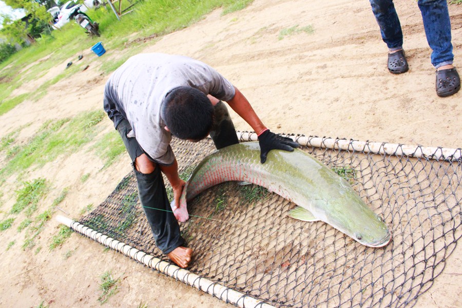 พี่เด  มาช่วยจับปลาตัวนี้ใหญ่มากกกก  :love: :love: :love: :love: