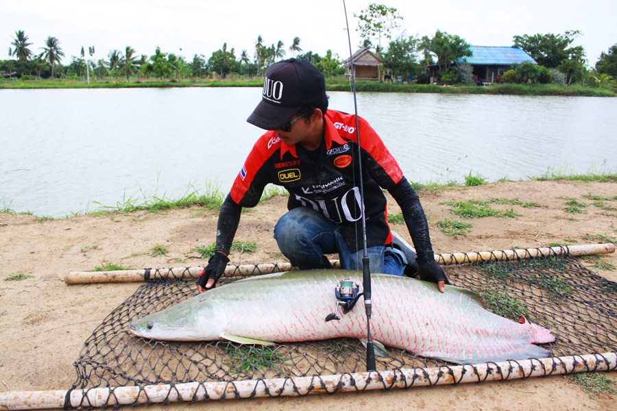 TEXAS Rig  Arapaima  :love: :love: :love: :love: