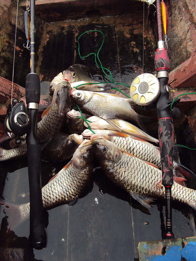 ต้องถือว่าชาตินี้ทีมActionlure ไม่ได้ทำบุญมากับปลาพวงในเรืออีหนู มันถึงไม่เอาเข้ามาชั่ง  :cry: :cry: