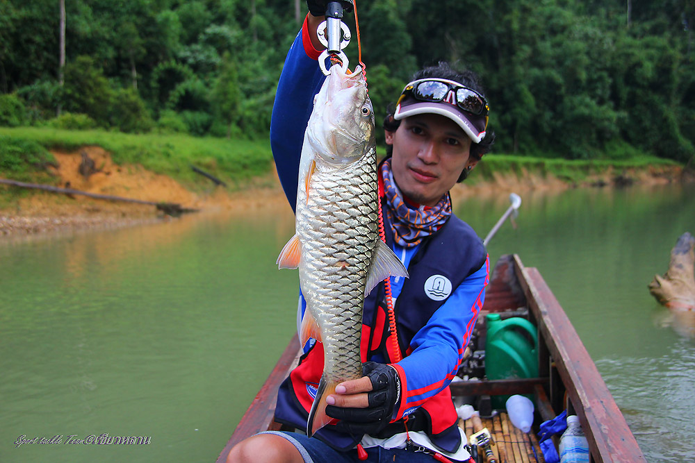 เข้ามาในคลองหยาได้ซักเป็บก็เจอกระสูปฝูงเข้าให้ :grin: :grin: :grin: :grin: :grin: :grin: :grin: :gri