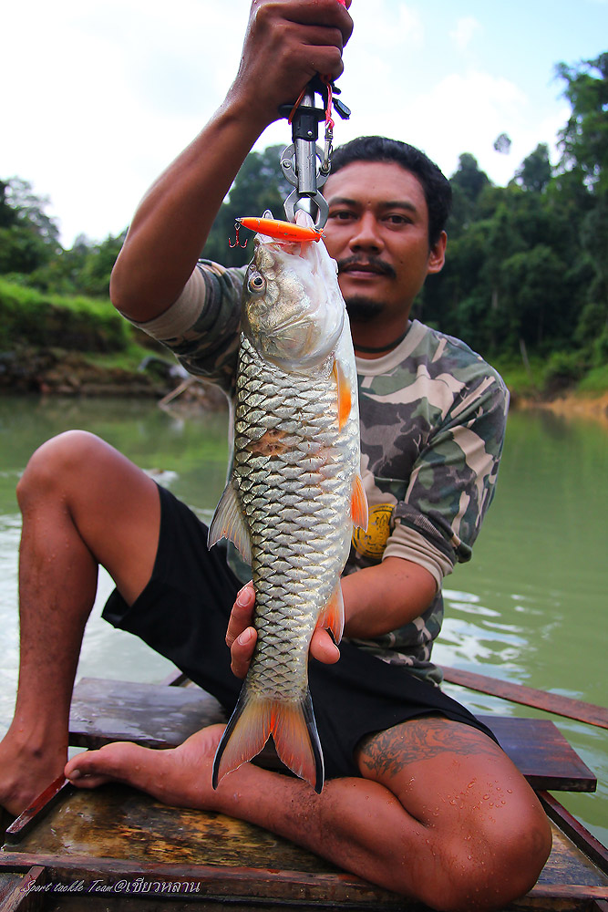 ตัวนี้ให้ใต๋หล่อบ้าง :grin: :grin: :grin: :grin: :grin: :grin: :grin: :grin: