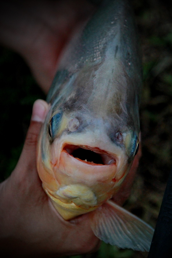  :ohh: :ohh: :ohh: :ohh: :smile: