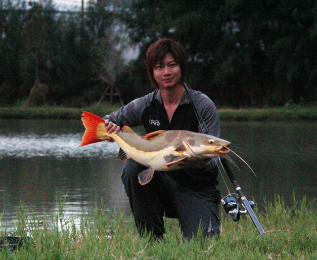 New Saltiga 4500 + M&W Jigging pe 1-3  :smile:

ปิดเบรคเต็มๆ เรดเทล วิ่งไม่ออกเลยครับ :cheer: :che