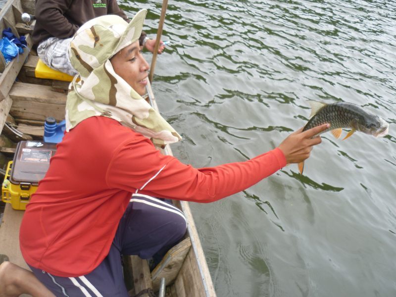 Catch & Release