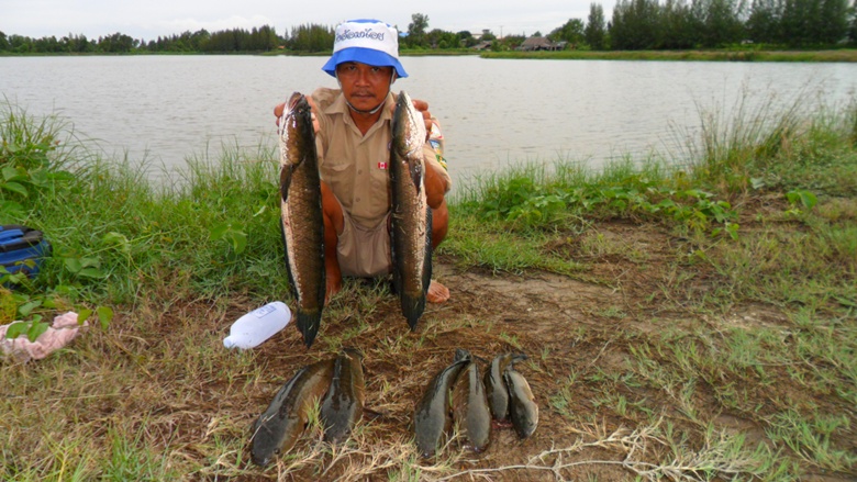 

     ข้าก็ไม่ยอม..นี่แน่ะเทมันออกมาถ่ายเลย... :grin: :grin: :grin: :grin: :grin: :grin:


  ข