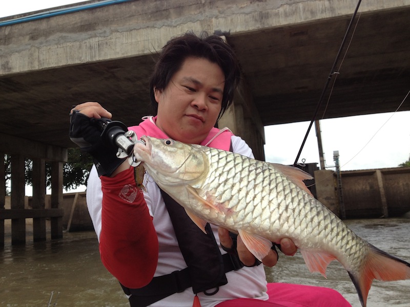 หมายนี้เราโดน ฝูงกระสูบ ถล่ม อย่างปลาเสียสติ เพราะอะไรผ่านลงไป เหล่ากระสูบร้ายทั้งหลาย พร้อม ใจกันถล