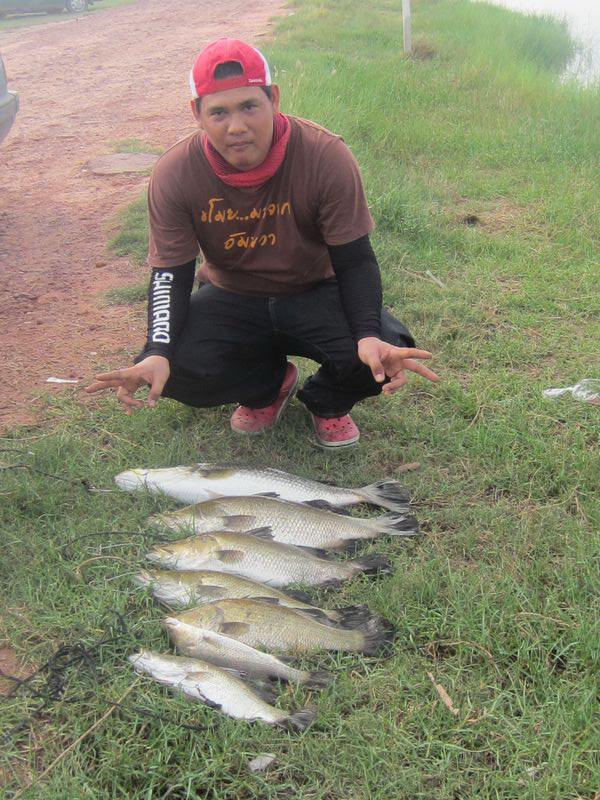 คนนี้คือช่างภาพของวันนี้ครับ--------->น้าเจน

ทำปลาหลุดแล้วหลุดอีก(จะถึงฝั่งอยู่แล้วทั้งนั้น)