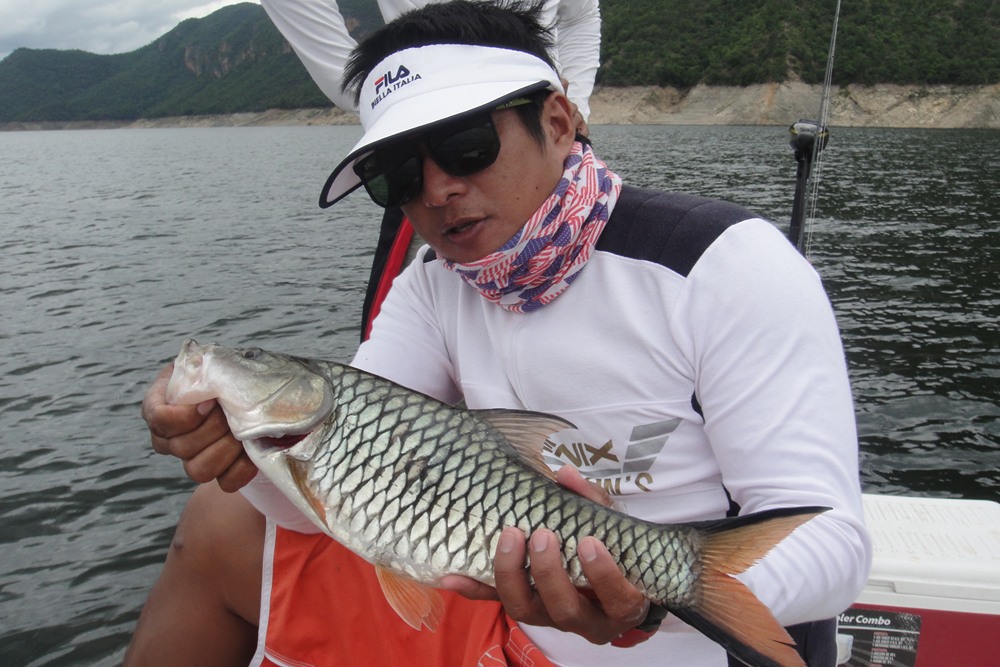ขากลับวิ่งเรือไปเจอฝูง เบรคเรือแทบไม่ทัน แต่ยังทันครับ :love: