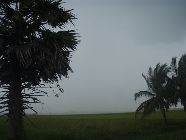 แม้สายฝนส่องสาดให้ทางมืดมิด.....ฉันจะสู้ขอชีวิตอย่าหยุดฝัน......จงศรัทธาด้วยหัวใจไปด้วยกัน......เส้น