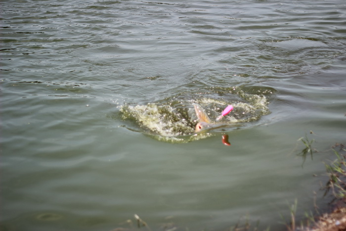 เต็มปากครับ   :cheer: :cheer: :cheer: