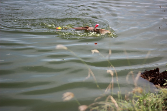 เชลยศักดิ์     :cheer: :cheer: :cheer: