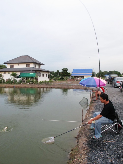                                                                                 สุดท้ายก็เป็นดังคิด.