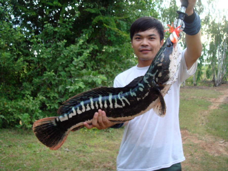 แล้วโทรฟี่ก็มาครับ...โอ้ววววว์  ไปขุดมาจากไหนละเนี่ย :ohh: :grin: