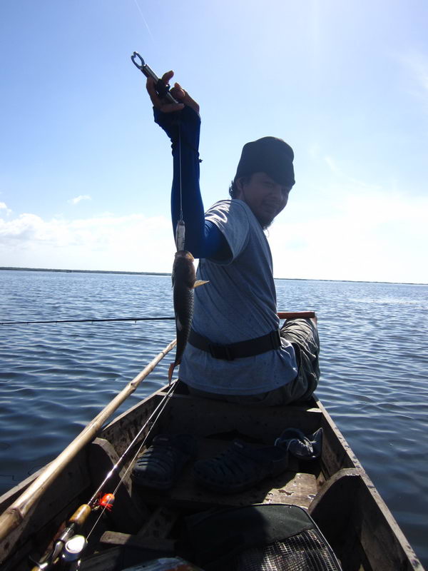 


และแล้ว.........ปลาก็ขึ้นมาบนเรืออีก 1 ตัว.........