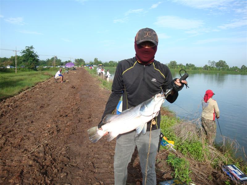 ใครได้ปลาก้อเดินเก็บภาพไปเรื่อยๆ