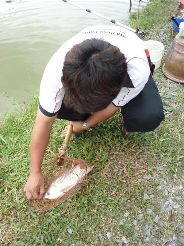                                                     เพื่อนตู่รับหน้าที่ มือสวิงพร้อมปลดเสร็จสรรพ