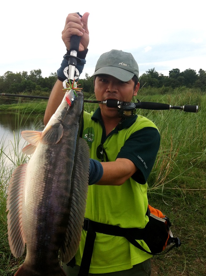 สวัสดีครับน้า   Pesce   ขอบคุณที่ตามชมนะครับ 
[q] สวัสดีครับ....ส่งแหนม มาให้ชิมบ้า้งเด้อ.....+++++