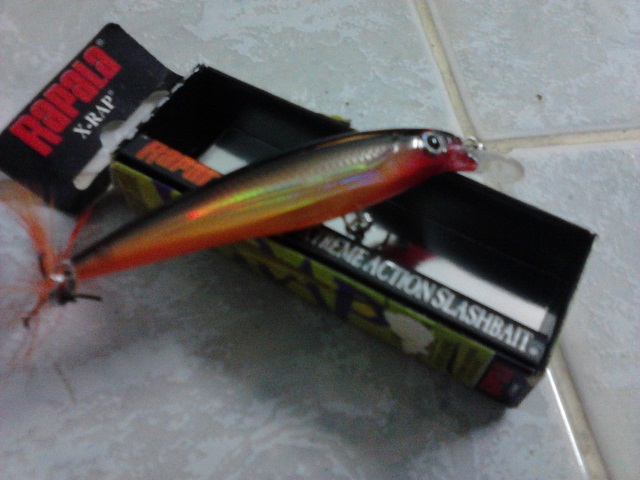 Rapala X Rap 6 cm
 :laughing: :grin: