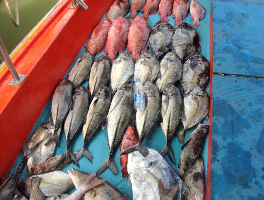 ตอนตกไม่ได้ถ่ายครับ  ลืมพากล้อง  ถ่ายตอนเรือเข้าครับ