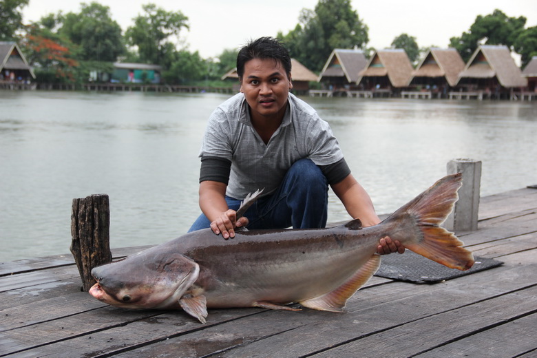 ฝนจะตกแล้ว ต้องรีบเอาขึ้น
 :grin: :grin: :grin: