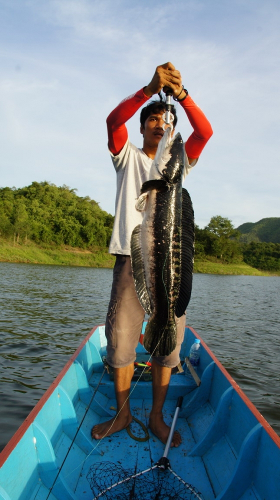 

หนักเอาการอยู่ 