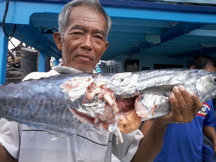 ดูกันชัดๆอีกภาพครับ ว่าเละขนาดไหน น่าสงสารจ้าวอินทรีย์จัง  โดนปลากัดแล้วยังต้องมาโดนคนกินอีก :cry: