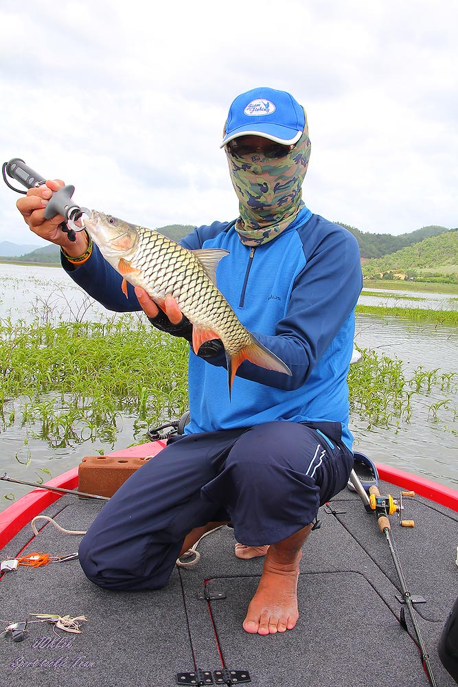 มา มา ขึ้นมาให้ถ่ายรูปซ่ะดีๆ :grin: :grin: :grin: :grin: :grin: