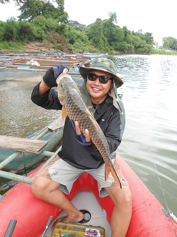 กระสูบป่าสักวันแม่คร้าบ