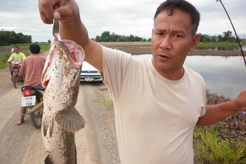 สู้เบ็ดได้ใจครับตัวนี้