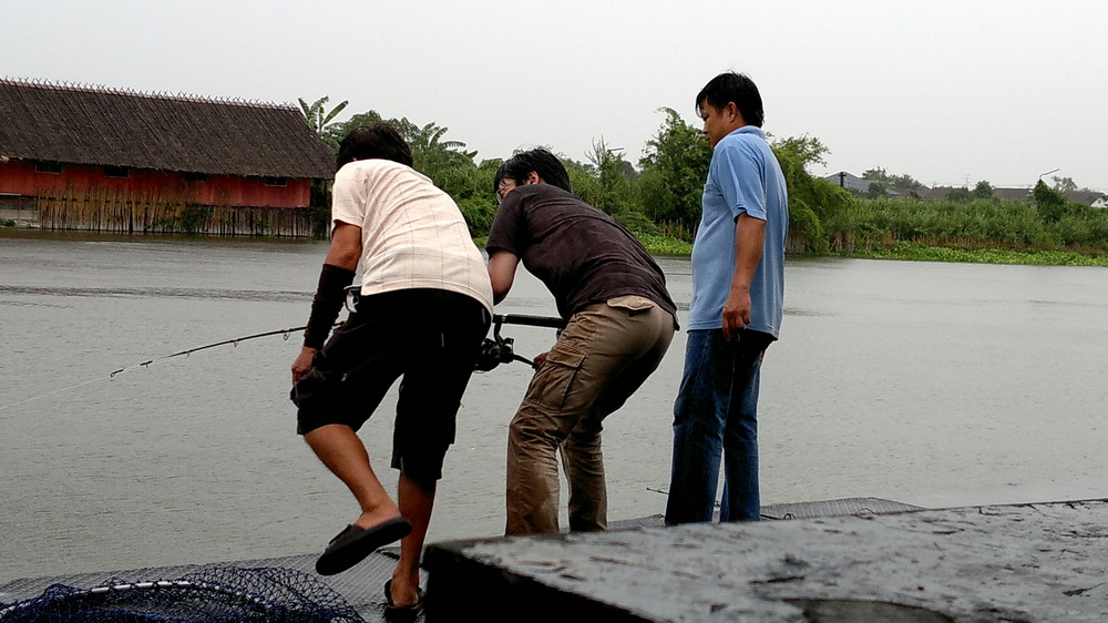 ไปถึง นั่ง ปลาก็กินเลย ปลากินค่อนข้างดีทีเดียววันนี้ครับ ฝนตกปรอยๆ  :grin: